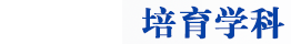 皇冠APP体育